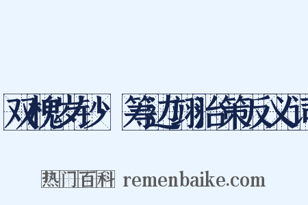 双槐岁钞·筹边翊治策反义词是什么意思的图片